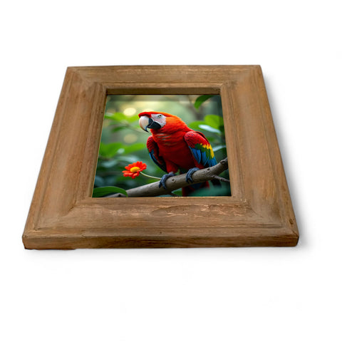GLOBAL CRAFT AND CREATIONS Wooden Table-Top Photo Frame | Solid Wood Picture Frame for Table Decor, Wall Decor, Office Decor & Home Decor (5x7), Rectangular, Handcrafted White wash finished Rustic Style TableTop Display | MA51
